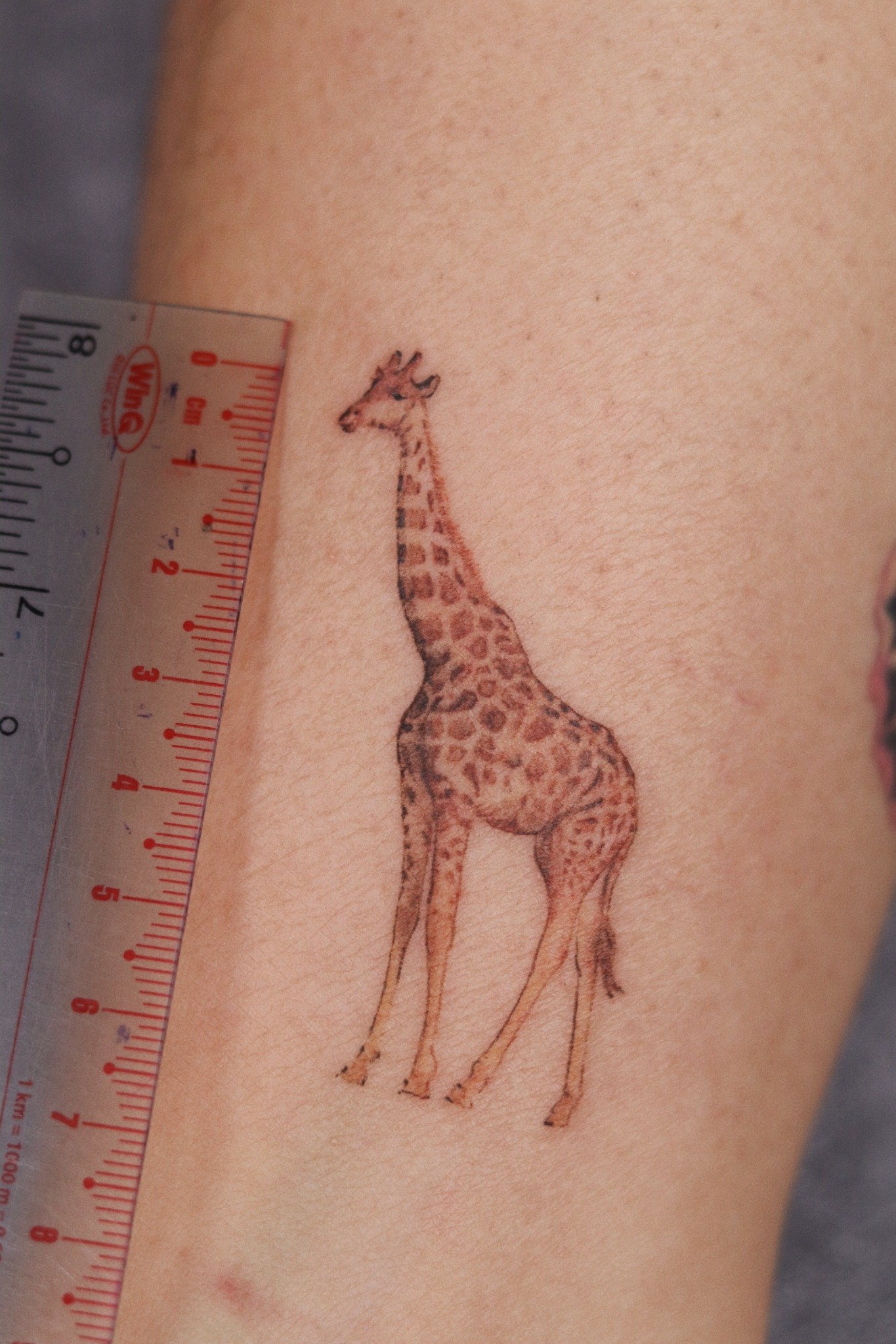 Tiny giraffe micro tattoo by Hoang Bao at Overthink-Ink Saigon